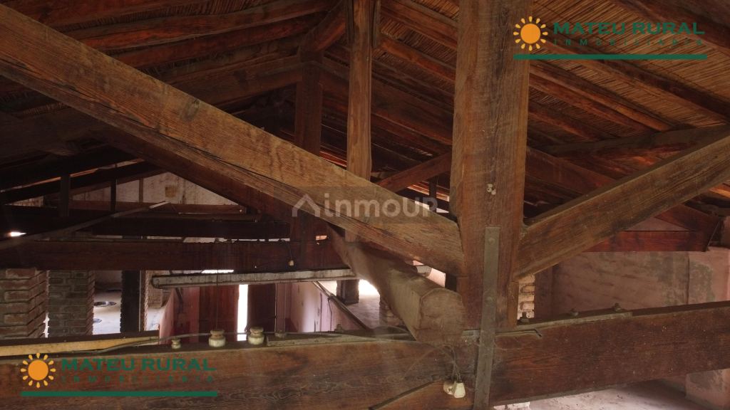 Bodega en Venta en San Martin, Mendoza