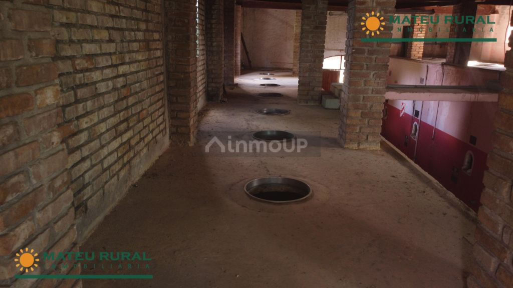 Bodega en Venta en San Martin, Mendoza