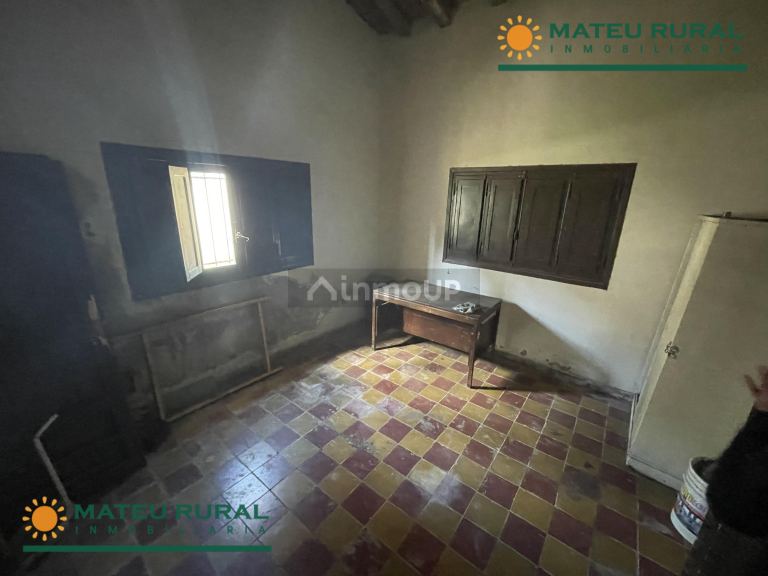 Bodega en Venta en San Martin, Mendoza