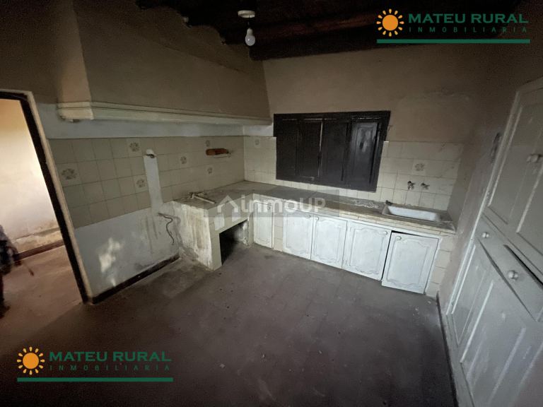 Bodega en Venta en San Martin, Mendoza