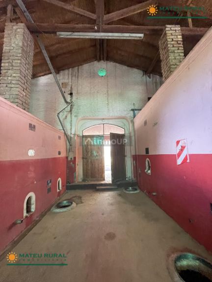 Bodega en Venta en San Martin, Mendoza