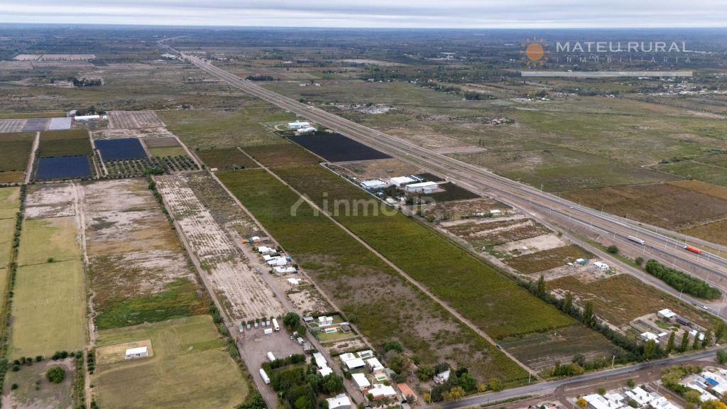 Finca en Venta en San Martin, Mendoza