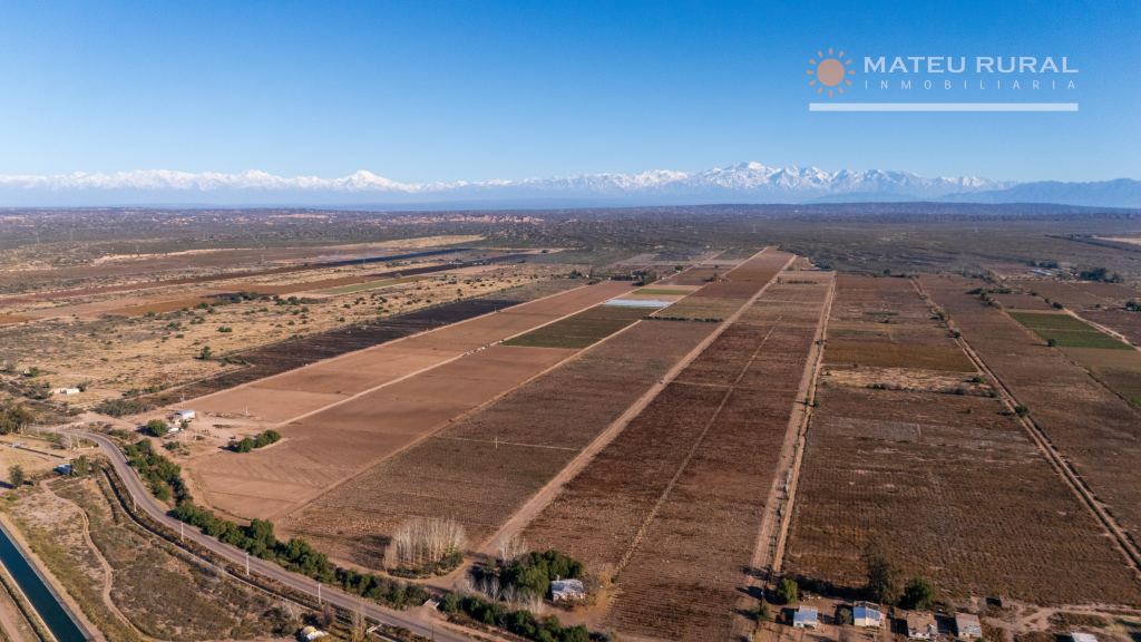 Finca en Venta en Lujan de Cuyo, Mendoza