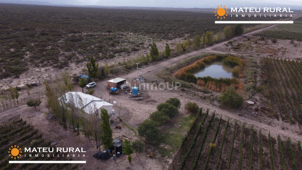 Finca en Venta en Lujan de Cuyo, Mendoza