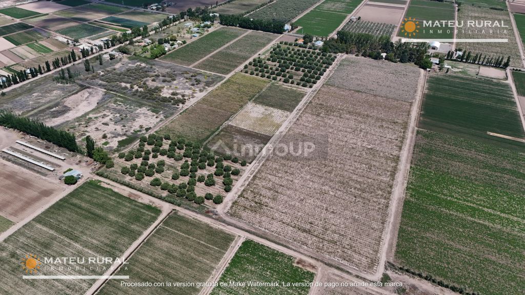 Finca en Venta en Maipu, Mendoza