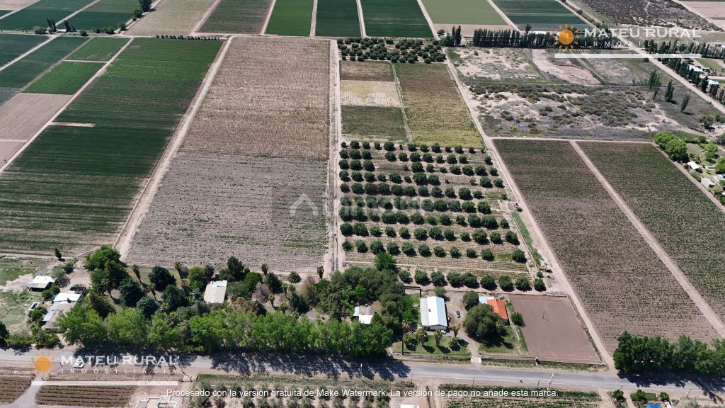 Finca en Venta en Maipu, Mendoza