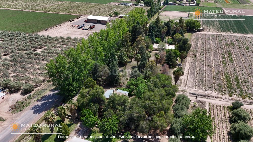 Finca en Venta en Maipu, Mendoza