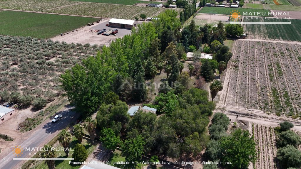 Finca en Venta en Maipu, Mendoza