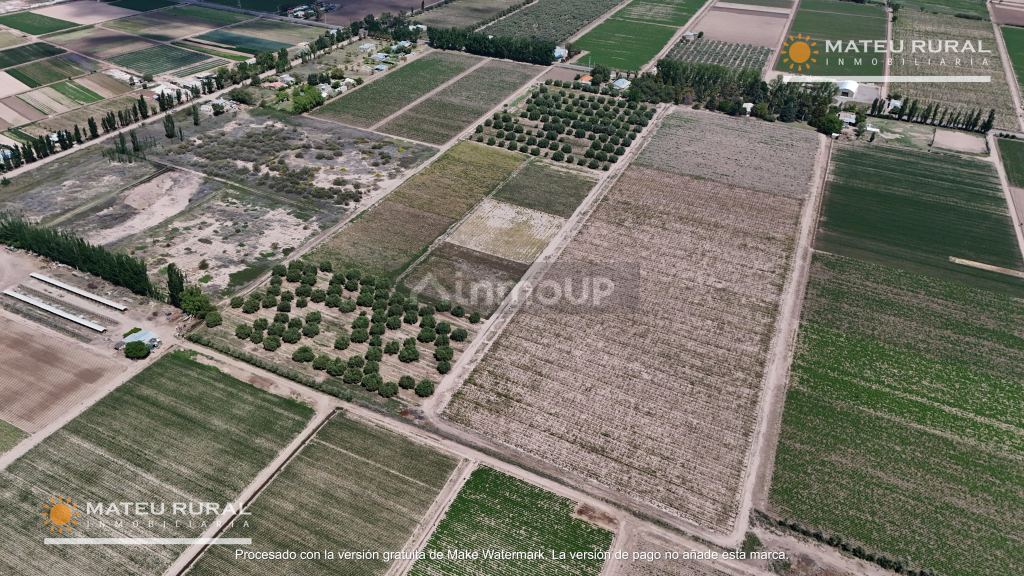 Finca en Venta en Maipu, Mendoza