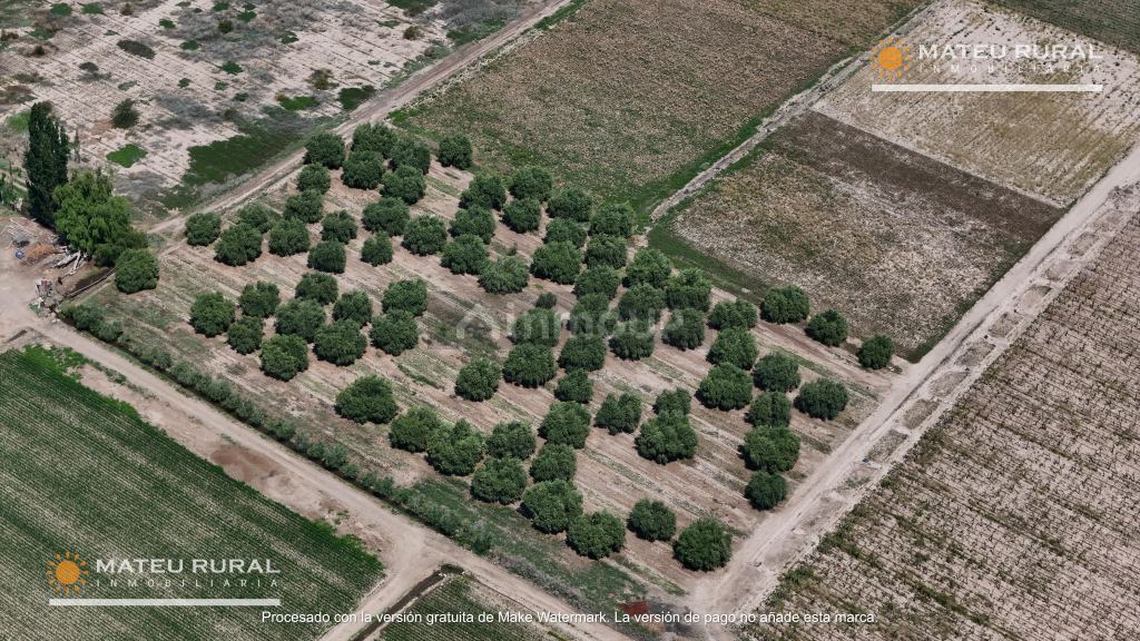 Finca en Venta en Maipu, Mendoza