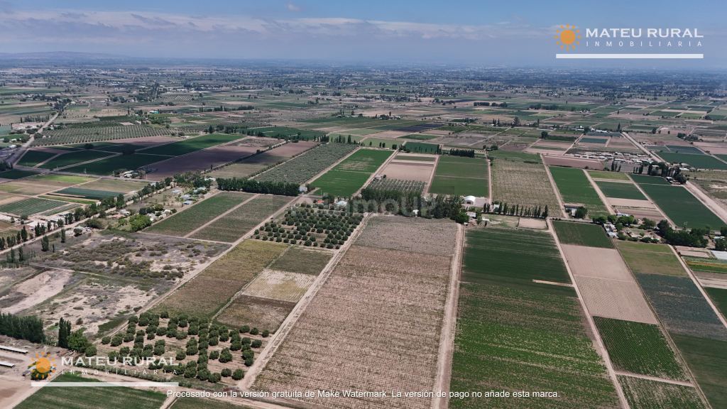 Finca en Venta en Maipu, Mendoza