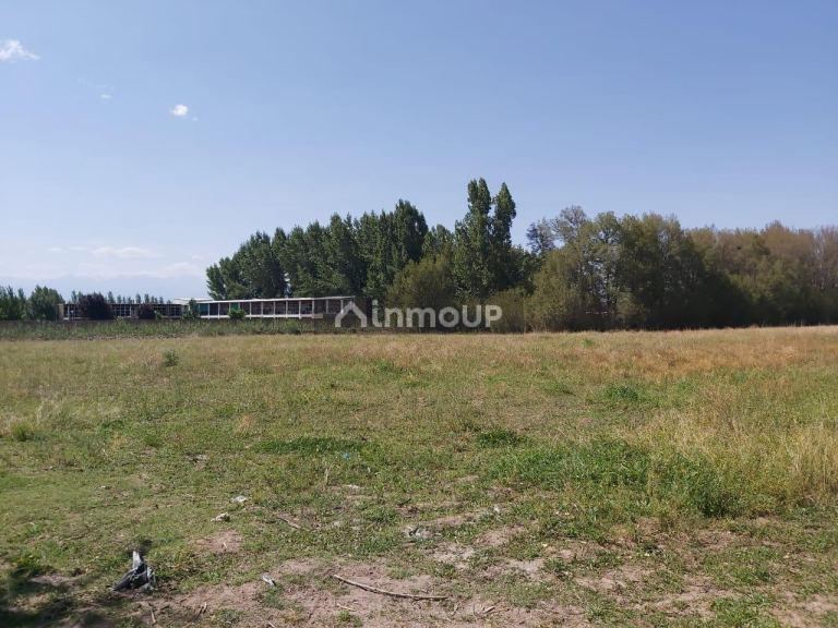 Finca en Venta en Tunuyan, Mendoza