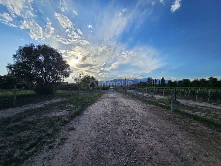 Lote en Venta en Lujan de Cuyo, Mendoza
