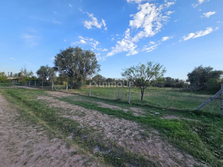 Lote en Venta en Lujan de Cuyo, Mendoza