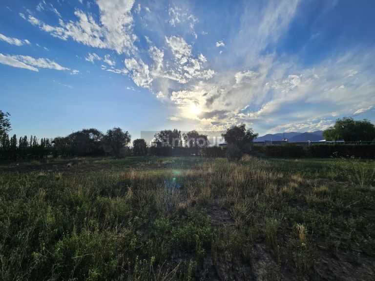 Lote en Venta en Lujan de Cuyo, Mendoza