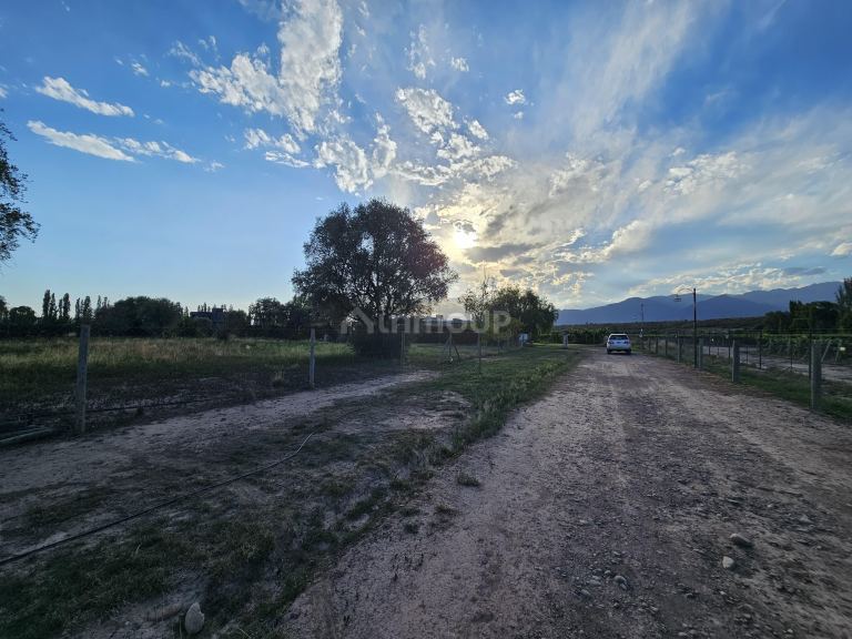 Lote en Venta en Lujan de Cuyo, Mendoza