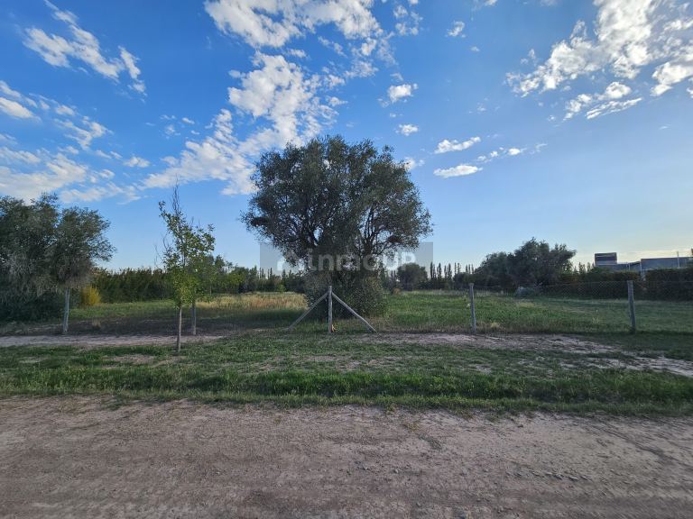 Lote en Venta en Lujan de Cuyo, Mendoza