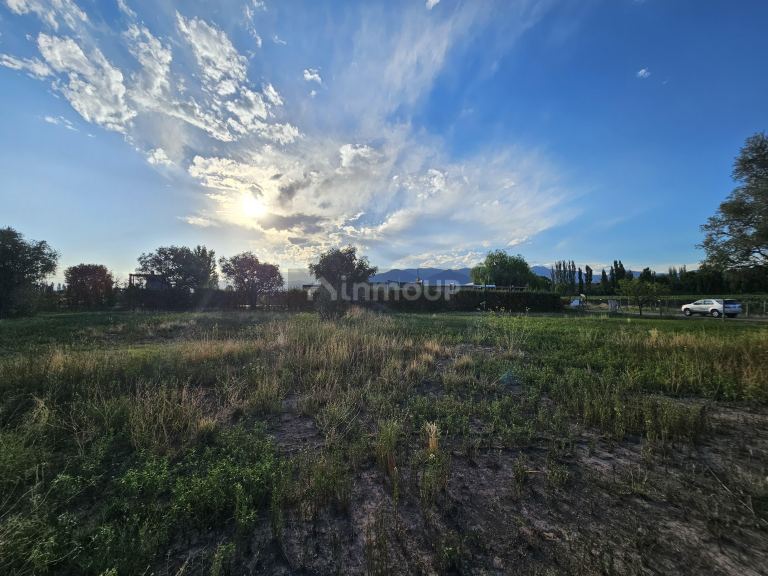 Lote en Venta en Lujan de Cuyo, Mendoza