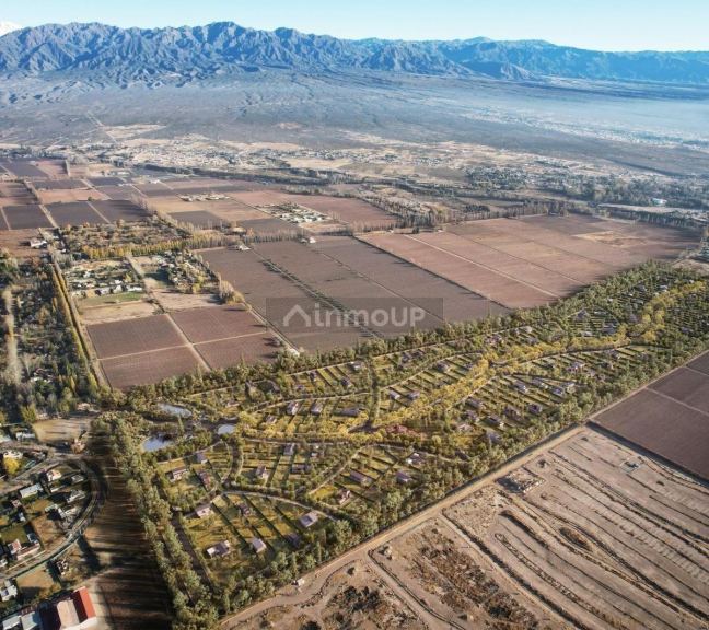Lote en Venta en Lujan de Cuyo, Mendoza
