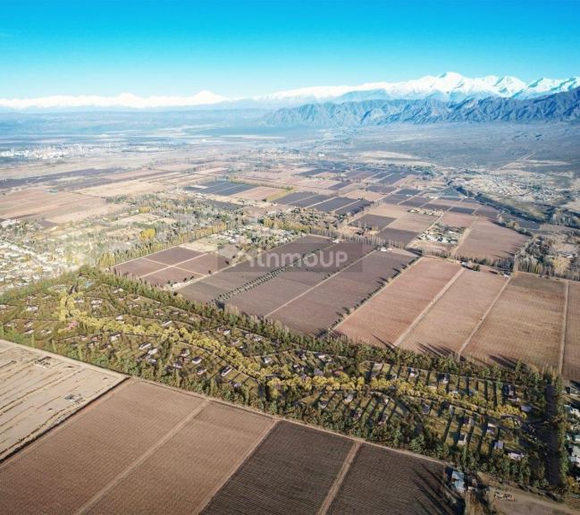 Lote en Venta en Lujan de Cuyo, Mendoza