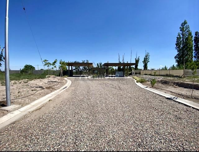 Lote en Venta en Lujan de Cuyo, Mendoza