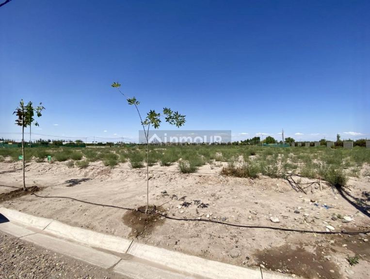 Lote en Venta en Lujan de Cuyo, Mendoza