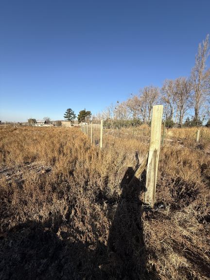 Lote en Venta en Lujan de Cuyo, Mendoza