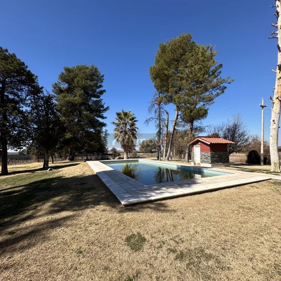Finca en Venta en Lujan de Cuyo, Mendoza