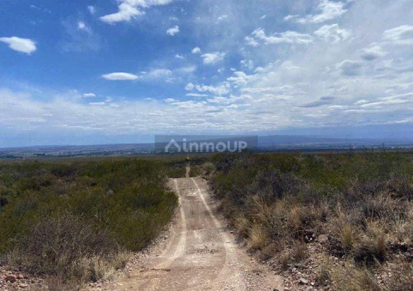 Finca en Venta en Lujan de Cuyo, Mendoza
