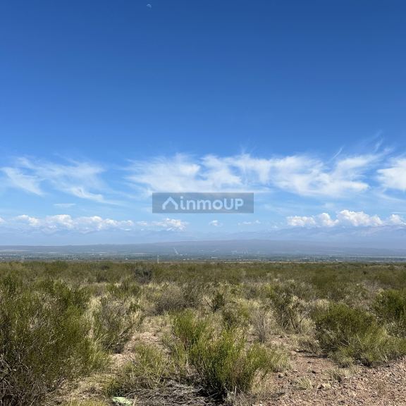 Finca en Venta en Lujan de Cuyo, Mendoza