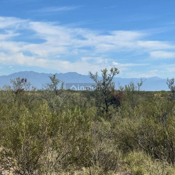 Finca en Venta en Lujan de Cuyo, Mendoza