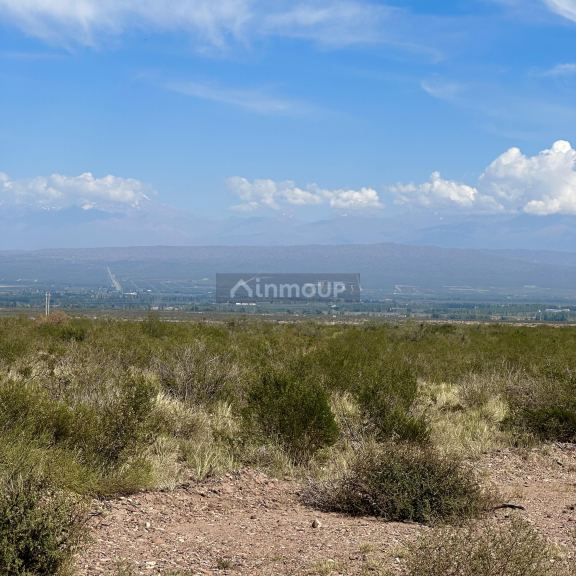 Finca en Venta en Lujan de Cuyo, Mendoza