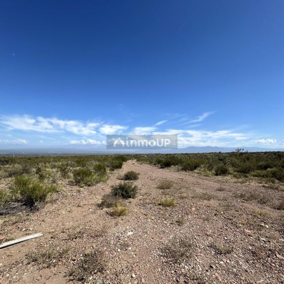 Finca en Venta en Lujan de Cuyo, Mendoza
