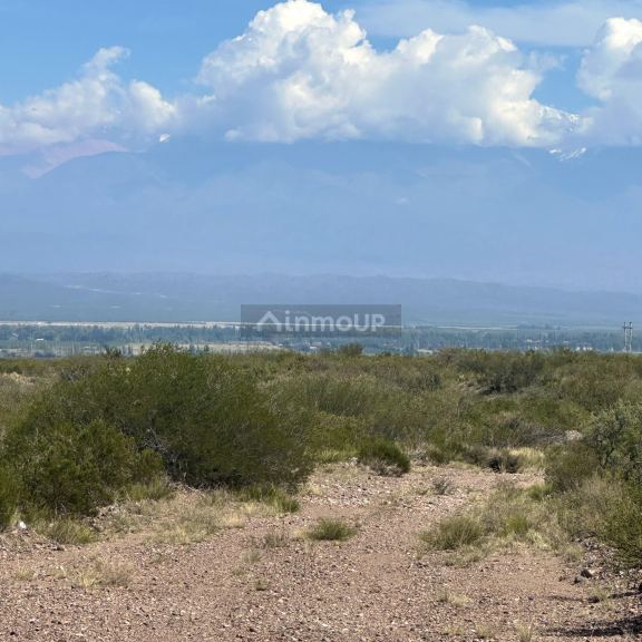 Finca en Venta en Lujan de Cuyo, Mendoza