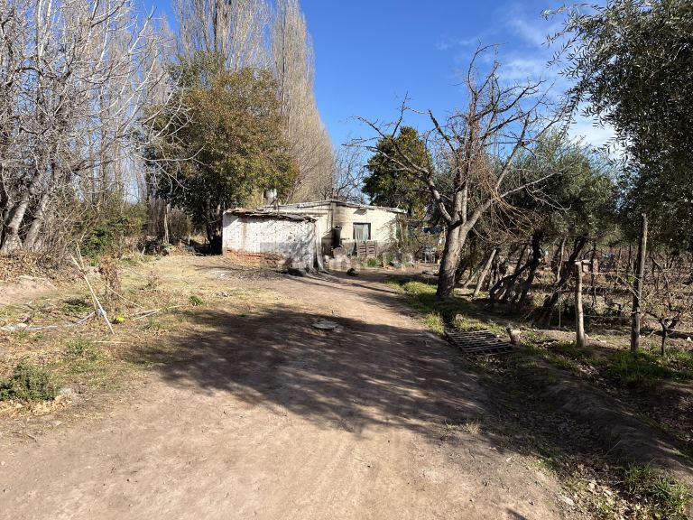 Finca en Venta en Maipu, Mendoza