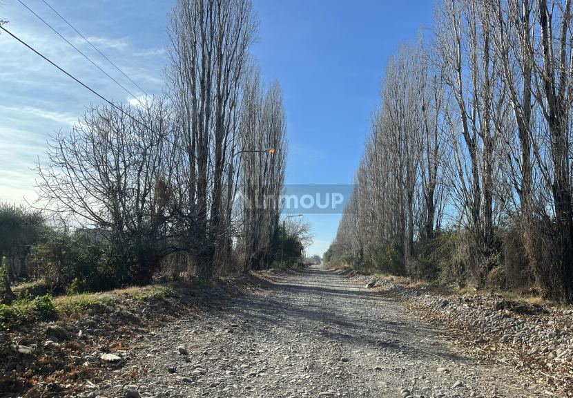 Finca en Venta en Maipu, Mendoza
