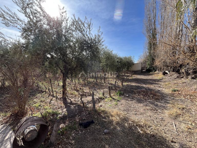 Finca en Venta en Maipu, Mendoza