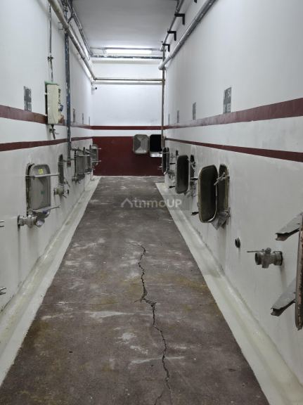 Bodega en Venta en San Martin, Mendoza