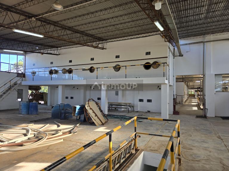 Bodega en Venta en San Martin, Mendoza