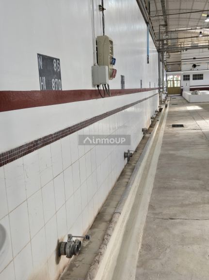 Bodega en Venta en San Martin, Mendoza