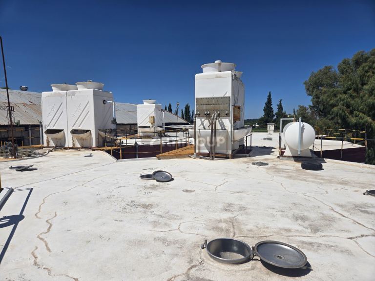 Bodega en Venta en San Martin, Mendoza