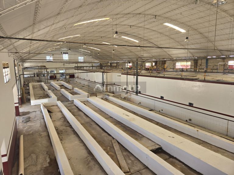 Bodega en Venta en San Martin, Mendoza
