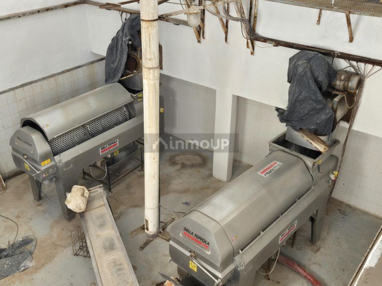 Bodega en Venta en San Martin, Mendoza
