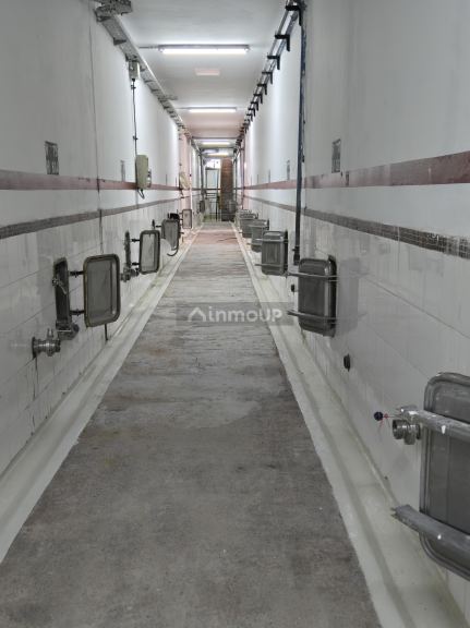 Bodega en Venta en San Martin, Mendoza