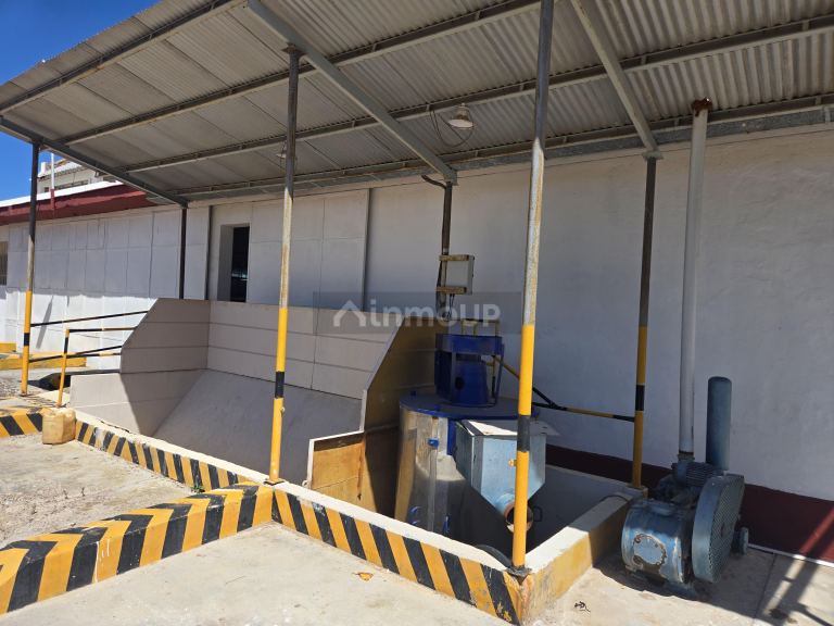 Bodega en Venta en San Martin, Mendoza